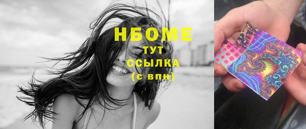 сатива Армянск