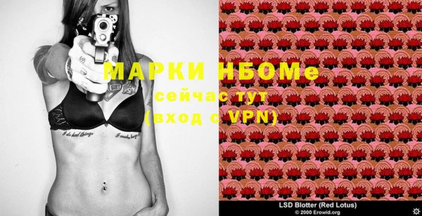 хмурый Аркадак