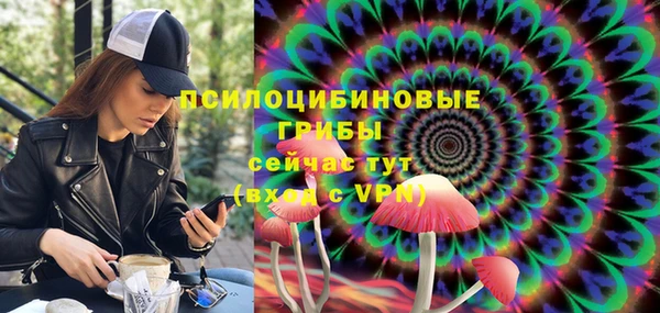 хмурый Аркадак