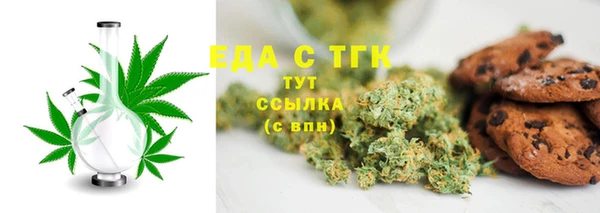 хмурый Аркадак