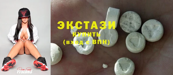 хмурый Аркадак