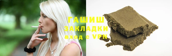 хмурый Аркадак