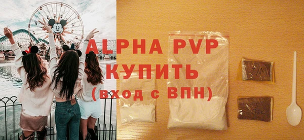 хмурый Аркадак