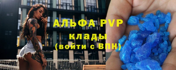 хмурый Аркадак