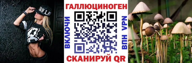 Псилоцибиновые грибы мицелий  цены   Тогучин 